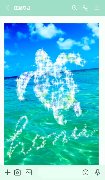 [LINE着せ替え] 海の守り神 ホヌの画像3