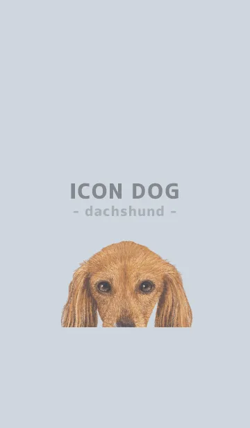 [LINE着せ替え] ICON DOG - ダックスフンド - PASTEL BL/07の画像1