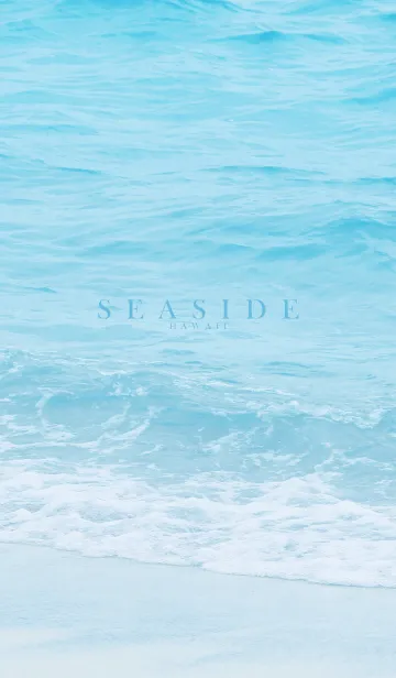 [LINE着せ替え] SEASIDE-HAWAII 22の画像1