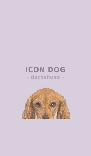 [LINE着せ替え] ICON DOG - ダックスフンド - PASTEL PL/07の画像1