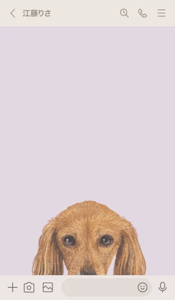 [LINE着せ替え] ICON DOG - ダックスフンド - PASTEL PL/07の画像3