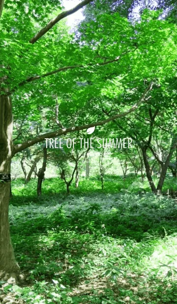 [LINE着せ替え] TREE OF THE SUMMERの画像1