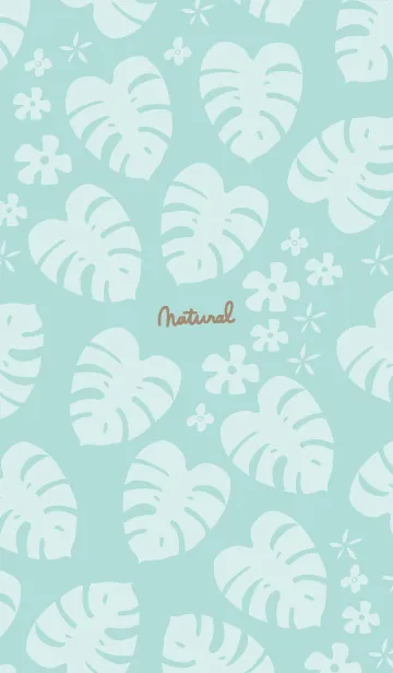 [LINE着せ替え] モンステラ 白 ランダム12の画像1