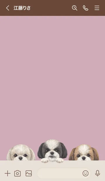 [LINE着せ替え] ワンワン- シーズー -ダスティローズピンクの画像3