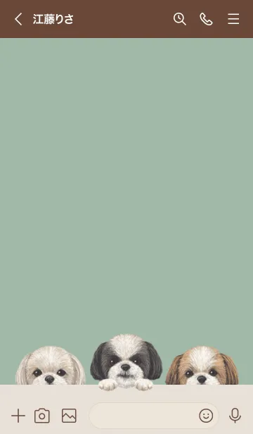 [LINE着せ替え] ワンワン - シーズー - ダスティグリーンの画像3