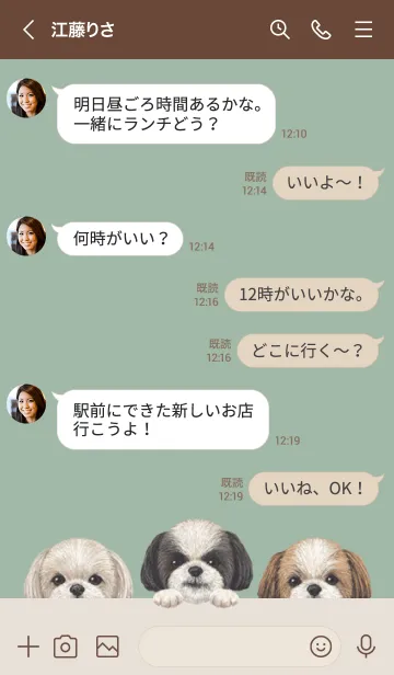 [LINE着せ替え] ワンワン - シーズー - ダスティグリーンの画像4