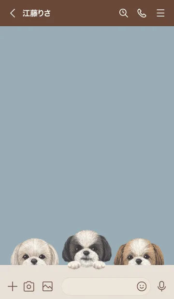 [LINE着せ替え] ワンワン - シーズー - ダスティブルーの画像3