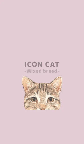 [LINE着せ替え] ICON CAT - ミックス - PASTEL PK/02の画像1