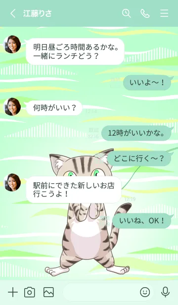 [LINE着せ替え] ねこ と  あそぼうの画像4