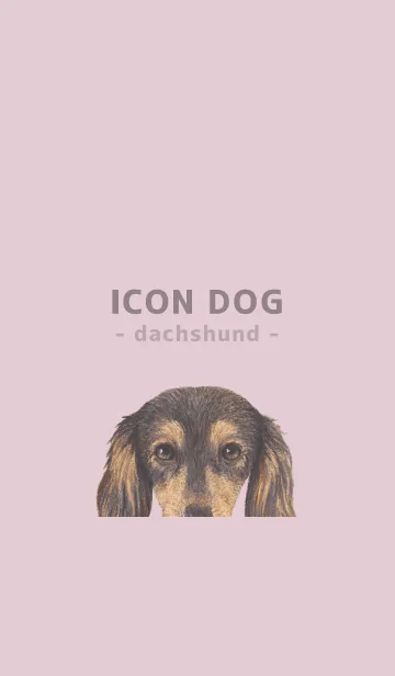 [LINE着せ替え] ICON DOG - ダックスフンド - PASTEL PK/08の画像1