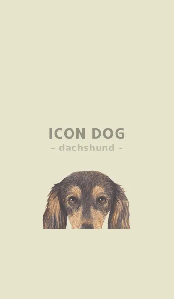 [LINE着せ替え] ICON DOG - ダックスフンド - PASTEL YE/08の画像1