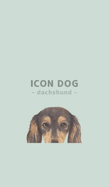 [LINE着せ替え] ICON DOG - ダックスフンド - PASTEL GR/08の画像1