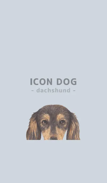 [LINE着せ替え] ICON DOG - ダックスフンド - PASTEL BL/08の画像1