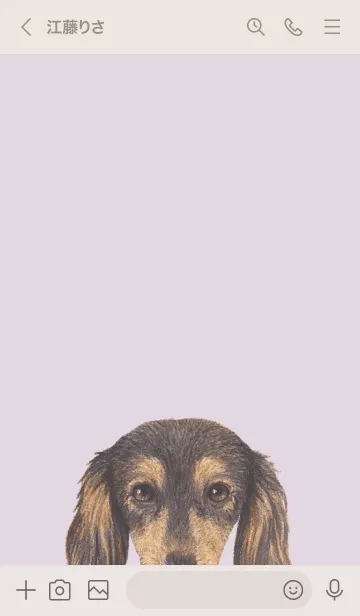 [LINE着せ替え] ICON DOG - ダックスフンド - PASTEL PL/08の画像3