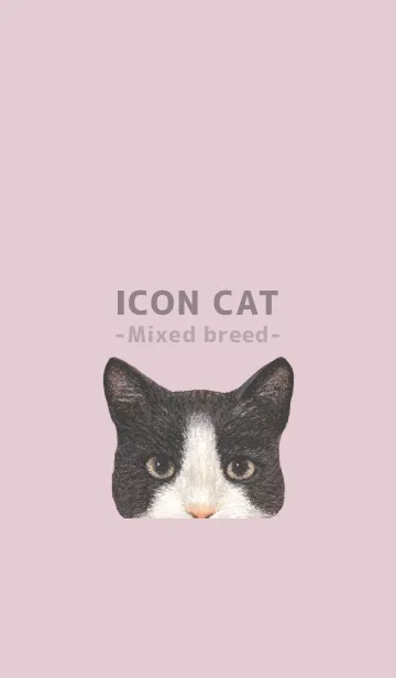 [LINE着せ替え] ICON CAT - ミックス - PASTEL PK/03の画像1