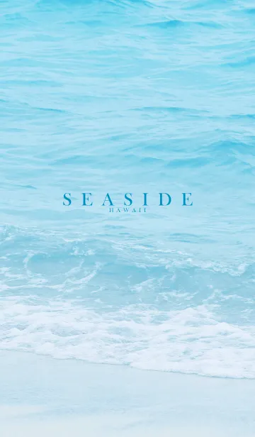 [LINE着せ替え] SEASIDE-HAWAII 24の画像1