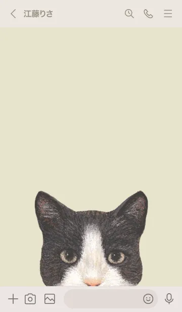 [LINE着せ替え] ICON CAT - ミックス - PASTEL YE/03の画像3