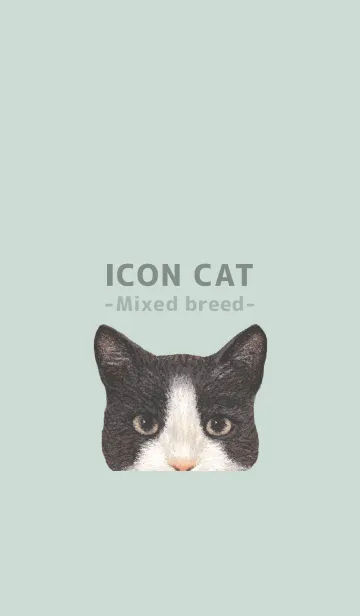 [LINE着せ替え] ICON CAT - ミックス - PASTEL GR/03の画像1