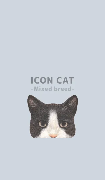 [LINE着せ替え] ICON CAT - ミックス - PASTEL BL/03の画像1