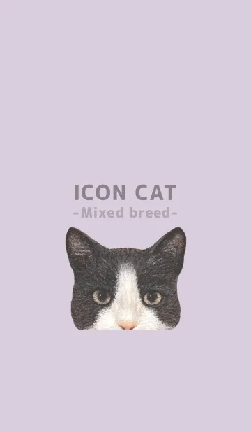 [LINE着せ替え] ICON CAT - ミックス - PASTEL PL/03の画像1