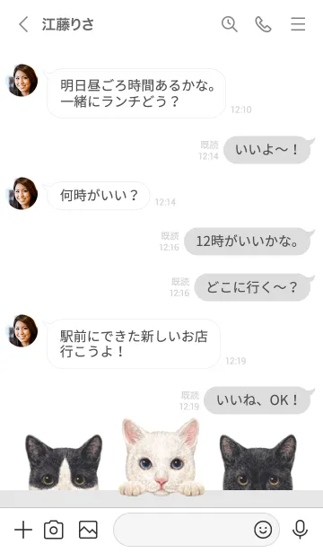 [LINE着せ替え] 猫 - ミックス 02 - 白×灰色の画像4