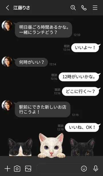 [LINE着せ替え] 猫 - ミックス 02 - 黒×灰色の画像4