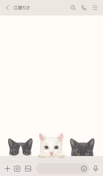 [LINE着せ替え] 猫 - ミックス 02 - ベージュの画像3