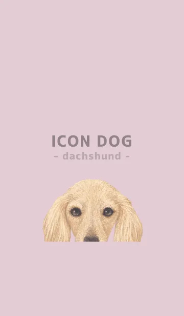 [LINE着せ替え] ICON DOG - ダックスフンド - PASTEL PK/09の画像1