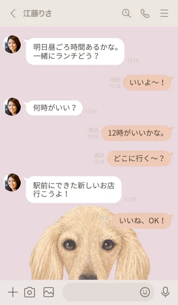 [LINE着せ替え] ICON DOG - ダックスフンド - PASTEL PK/09の画像4