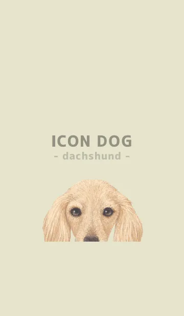 [LINE着せ替え] ICON DOG - ダックスフンド - PASTEL YE/09の画像1