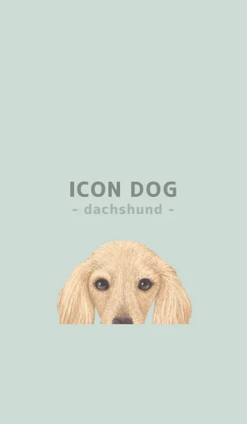 [LINE着せ替え] ICON DOG - ダックスフンド - PASTEL GR/09の画像1