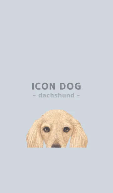 [LINE着せ替え] ICON DOG - ダックスフンド - PASTEL BL/09の画像1