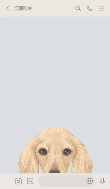 [LINE着せ替え] ICON DOG - ダックスフンド - PASTEL BL/09の画像3