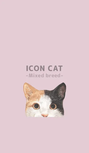 [LINE着せ替え] ICON CAT - ミックス - PASTEL PK/04の画像1