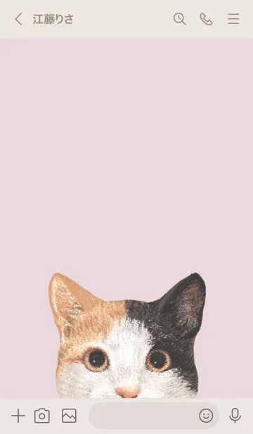 [LINE着せ替え] ICON CAT - ミックス - PASTEL PK/04の画像3