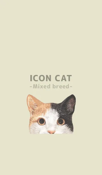 [LINE着せ替え] ICON CAT - ミックス - PASTEL YE/04の画像1