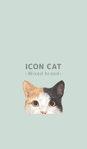 [LINE着せ替え] ICON CAT - ミックス - PASTEL GR/04の画像1