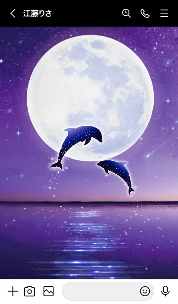 [LINE着せ替え] 運気が上がる☆満月とイルカの画像3