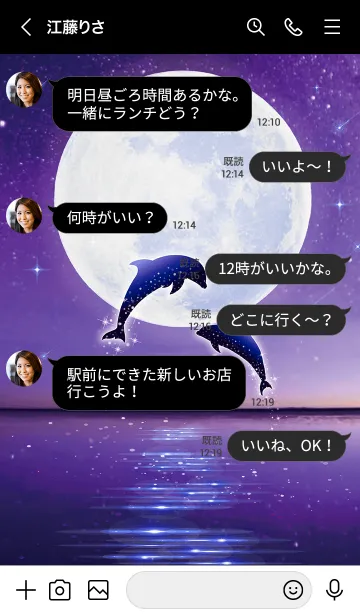 [LINE着せ替え] 運気が上がる☆満月とイルカの画像4