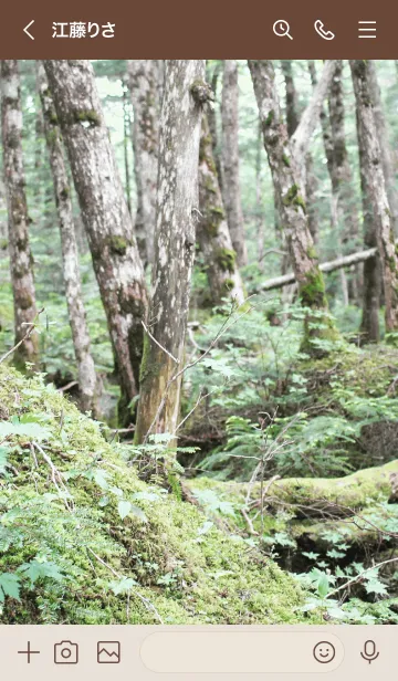 [LINE着せ替え] Forest Therapy 14の画像3