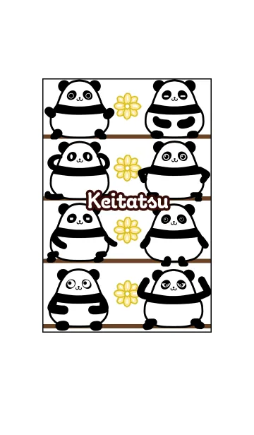 けいたつ★まんまるカワイイ♥パンダのLINE着せ替え
