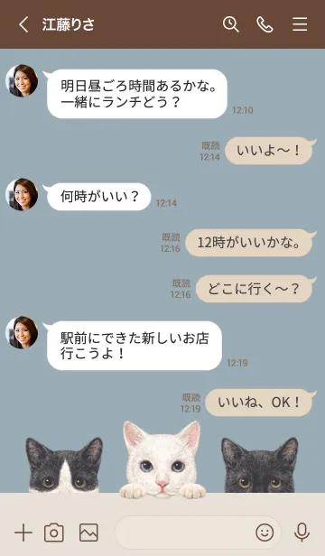 [LINE着せ替え] 猫 - ミックス 02 - ダスティブルーの画像4