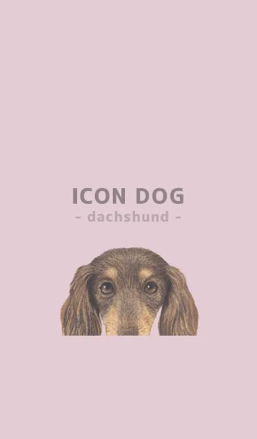 [LINE着せ替え] ICON DOG - ダックスフンド - PASTEL PK/10の画像1