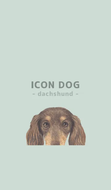 [LINE着せ替え] ICON DOG - ダックスフンド - PASTEL GR/10の画像1