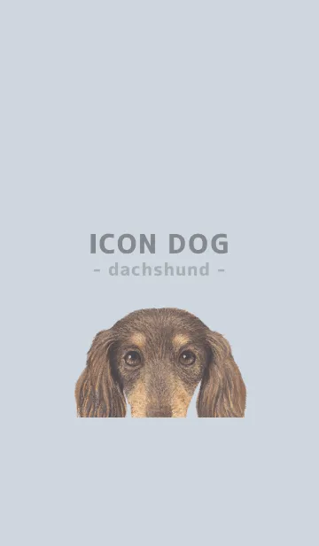 [LINE着せ替え] ICON DOG - ダックスフンド - PASTEL BL/10の画像1