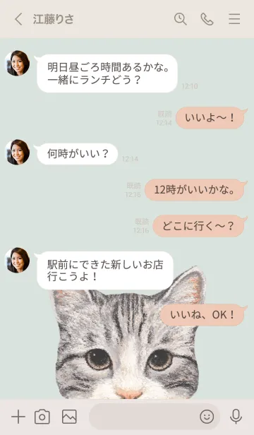 [LINE着せ替え] ICON CAT - ミックス - PASTEL GR/05の画像4