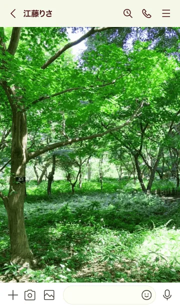 [LINE着せ替え] TREE OF THE SUMMER 5の画像3