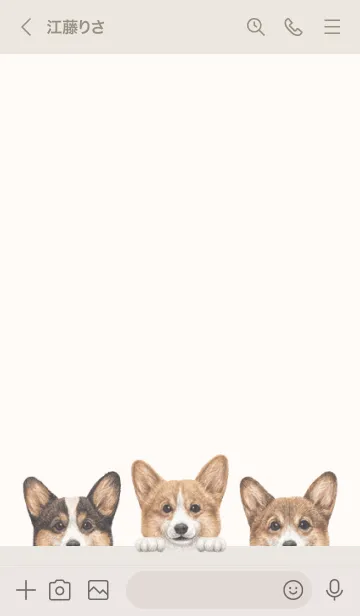 [LINE着せ替え] ワンワン - コーギー 01 - ベージュの画像3