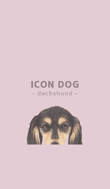 [LINE着せ替え] ICON DOG - ダックスフンド - PASTEL PK/11の画像1