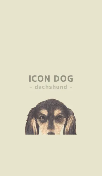 [LINE着せ替え] ICON DOG - ダックスフンド - PASTEL YE/11の画像1